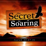 secret to soaring_wide_t
